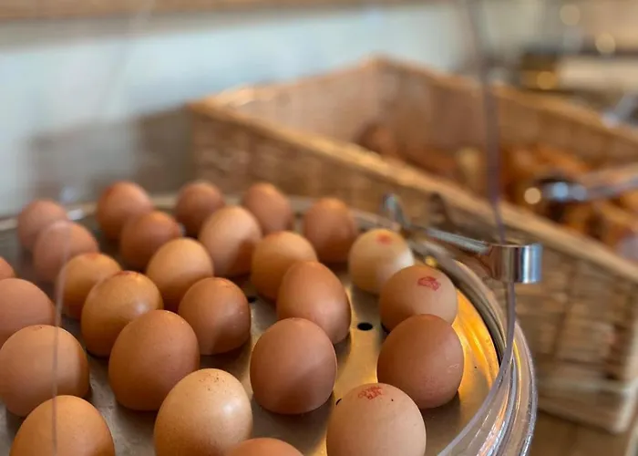 波达尔斯城堡酒店 酒店 3*