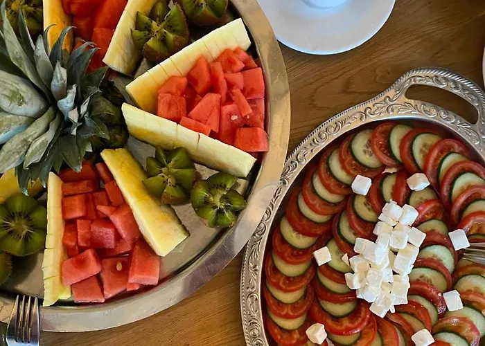 酒店 波达尔斯城堡酒店 斯特拉斯堡